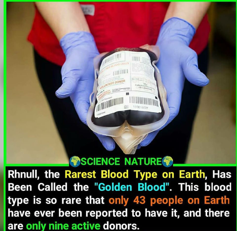 Rh null blood