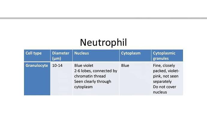 Neutrophil%20details