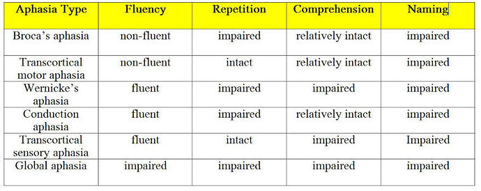 Aphasia%20type%20fluncy%20repetition%20comprehension