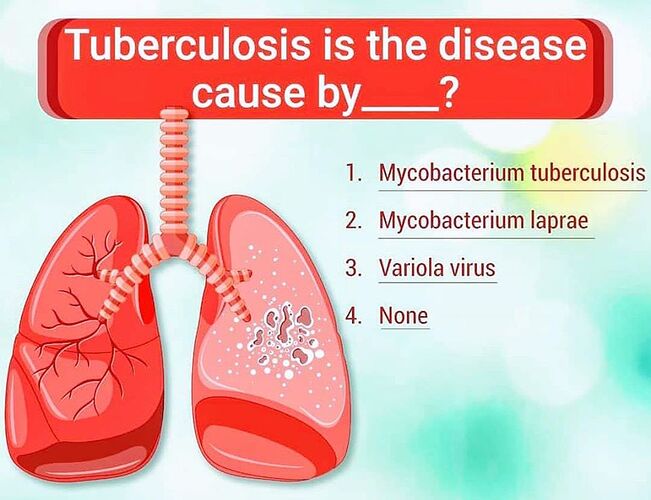 Tuberculosis%20is%20the%20disease%20cause%20by