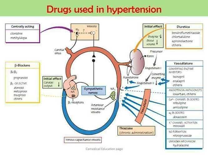 Drugs%20used%20in%20hypertension