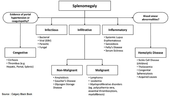 Splenomegaly%20-%20causes