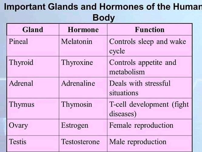 Important%20Glands%20and%20hormones%20of%20the%20human%20body