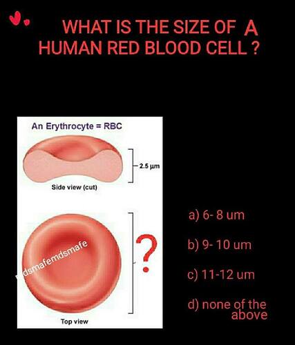 What%20is%20the%20size%20of%20a%20human%20red%20blood%20cell