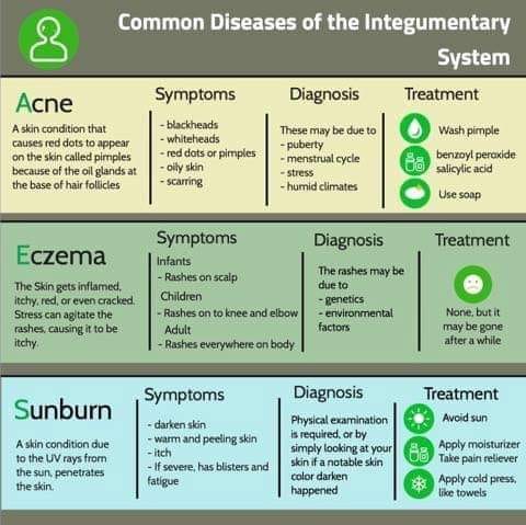 Common%20diseases%20of%20the%20Integumentary%20system