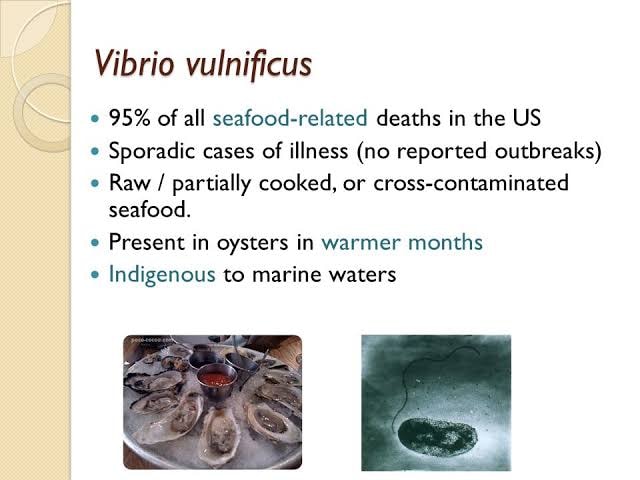 Vibrio%20vulnificus