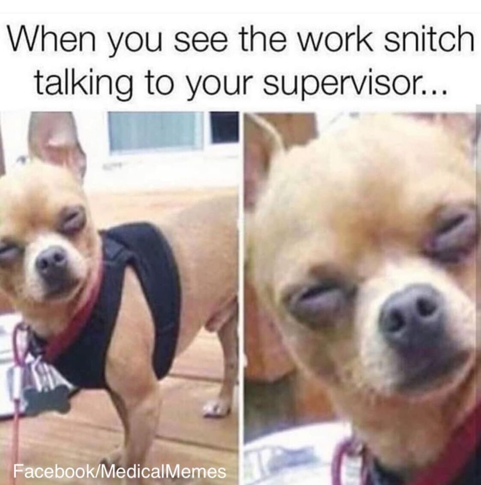 When you see the work snitch talking to your supervisor