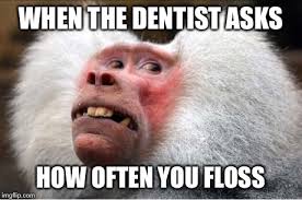 When the dentist asks how ofter you floss