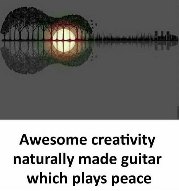 Awesome creativity naturally made guitar which plays peace