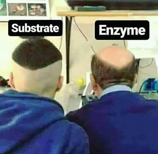 Substrate Enzyme