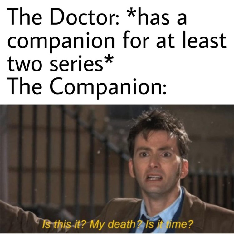 The doctor has a companion for at least two series